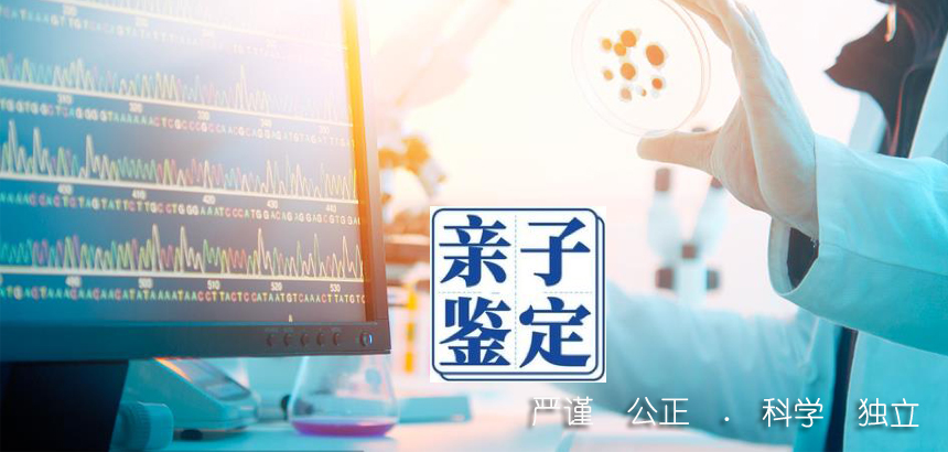 桂林亲子鉴定咨询了解