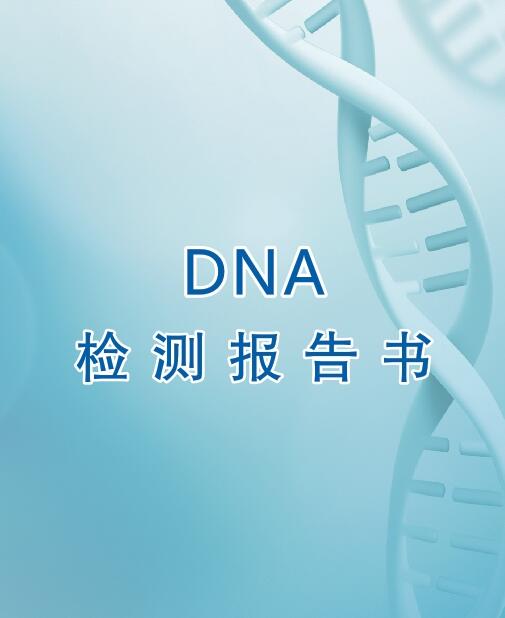 桂林亲子鉴定流程之出具报告